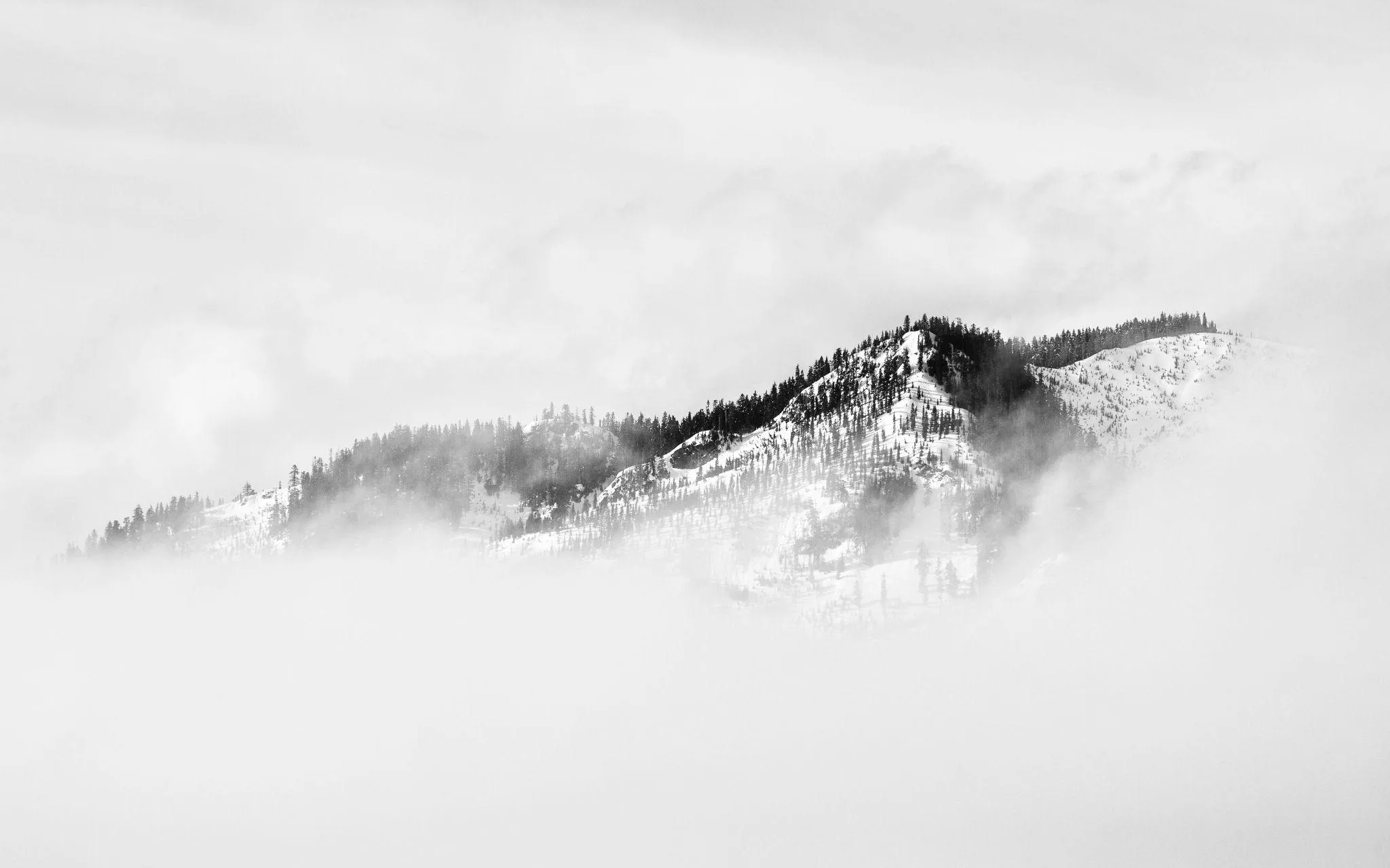 A snow-covered mountain ridge standing above a sea of cloud